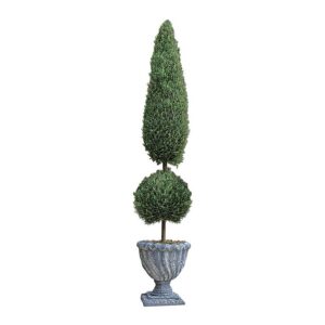 Design Toscano SE6025 Classic Evergreen Topiary