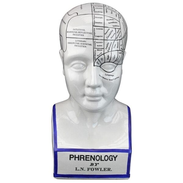 Design Toscano SP020 5 1/2 Inch Porcelain Phrenology Head