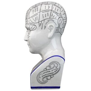 Design Toscano SP020 5 1/2 Inch Porcelain Phrenology Head