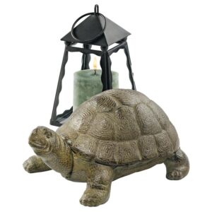 Design Toscano SP1062 10 Inch Aesops Turtle Statue