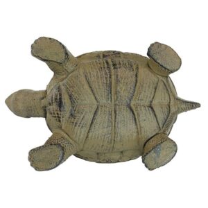 Design Toscano SP1062 10 Inch Aesops Turtle Statue