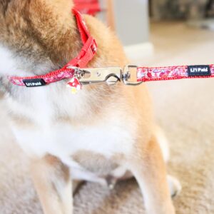 Lil Pals  Charming Ribbon Overlay Dog Collar