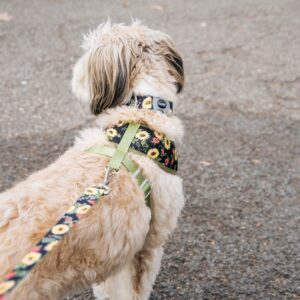 Sublime  Reversible Dog Harness