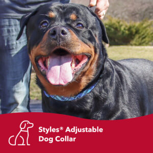 Styles Adjustable Dog Collar