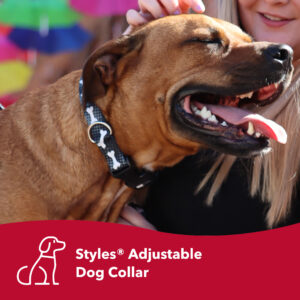 Styles Adjustable Dog Collar