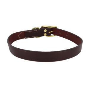 Circle T  Latigo Leather Town Dog Collar with Brass Hardware