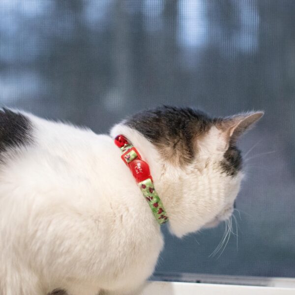 Safe Cat  Fashion Adjustable Breakaway Collar