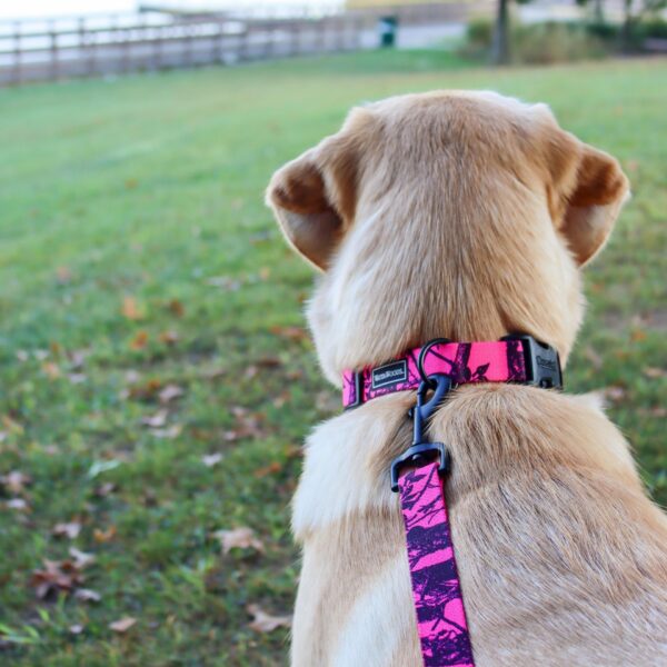 Water & Woods Blaze Patterned Dog Leash