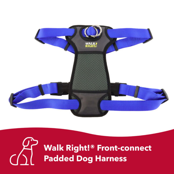 Walk Right!  Front-Connect No-Pull Padded Dog Harness